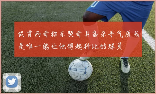 武贾西奇称东契奇具备杀手气质或是唯一能让他想起科比的球员