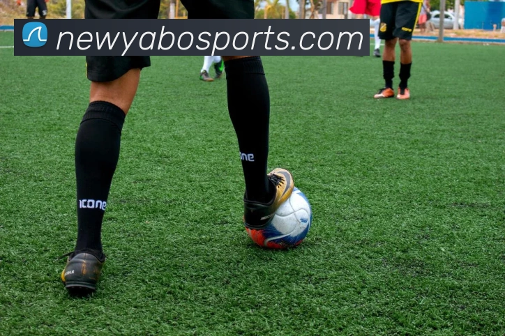 亚博体育服务体系